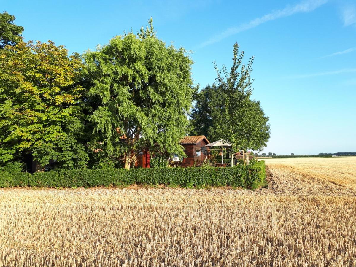 Bie Oans Oefje Villa Lewedorp Exteriör bild