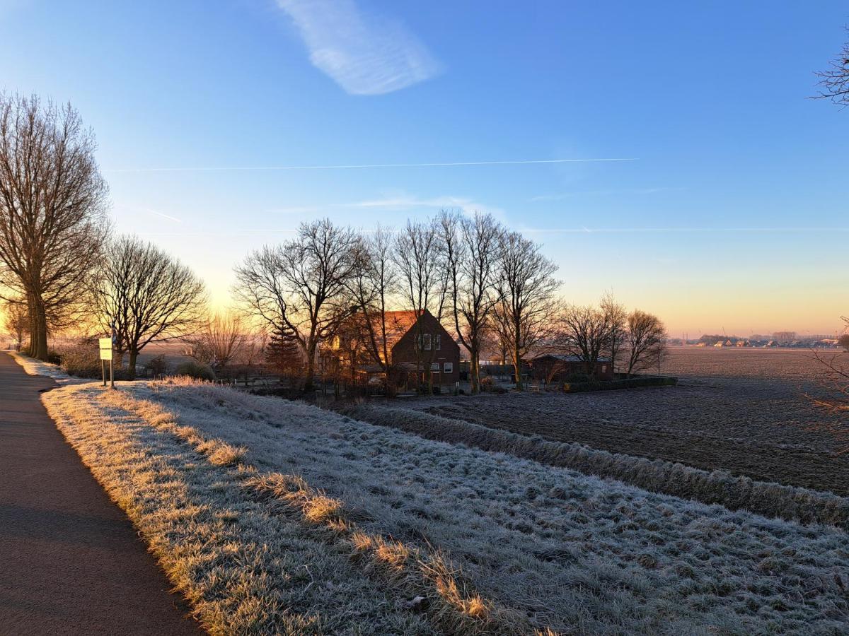 Bie Oans Oefje Villa Lewedorp Exteriör bild